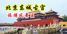 男女抽插骚B视频咪咪爱中国北京-东城古宫旅游风景区